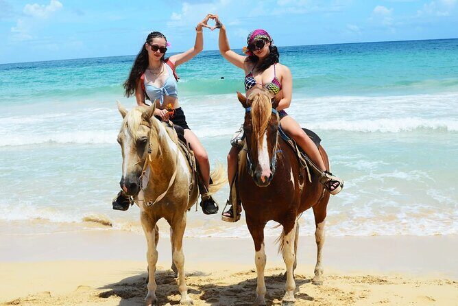 Horses, Buggy, and plantation in Chocaci Ranch - Deep Dive Into the Itinerary