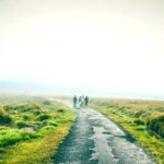 Horton Plains National Park From Nuwara Elia Tuk Tuk Tour - Why This Tour Could Be a Great Choice