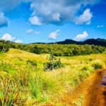 Horton Plains Park & Worlds End Guided Trekking From Nuwara Eliya - Practical Information: What to Expect