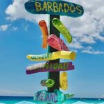 Hotel Beach Day at Savvy with Shuttle Transfer - Marine Park and Underwater Adventures