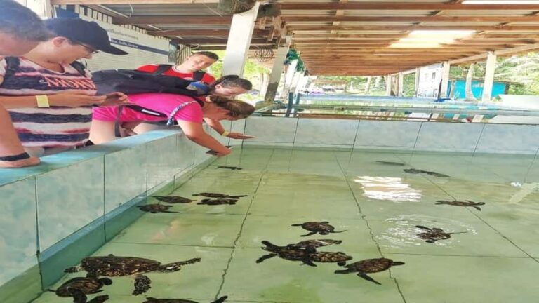 Hua Hin: Koh Talu Snorkeling with Lunch for 2 or More People - In-Depth Look at the Itinerary