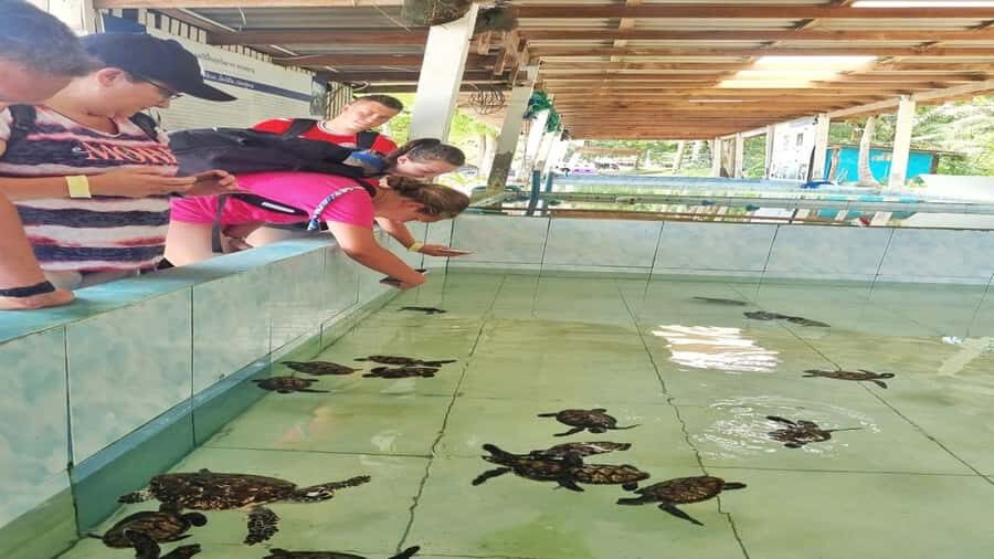 Hua Hin: Koh Talu Snorkeling with Lunch for 2 or More People - In-Depth Look at the Itinerary