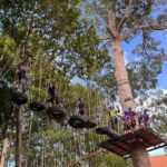 Hua Hin Tree Top Zipline Adventure and Canopy Rope Challenge - What to Expect from the Hua Hin Tree Top Zipline Adventure