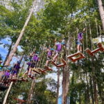 Hua Hin Tree Top Zipline Adventure and Canopy Rope Challenge - The Practicalities: What You Need to Know