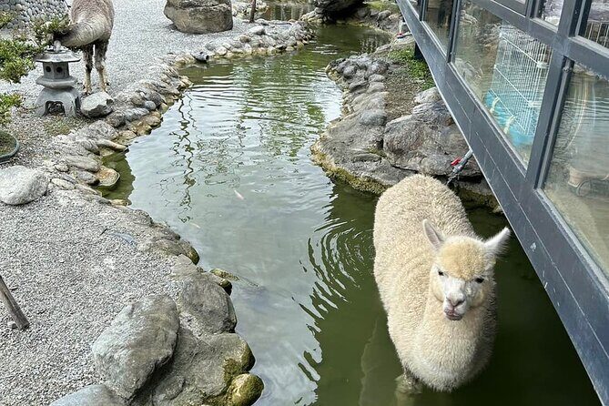 Hualien Tour in Qixingtan Beach, Liyu Lake, and Lintianshan Park - Practical Details: What You Need to Know