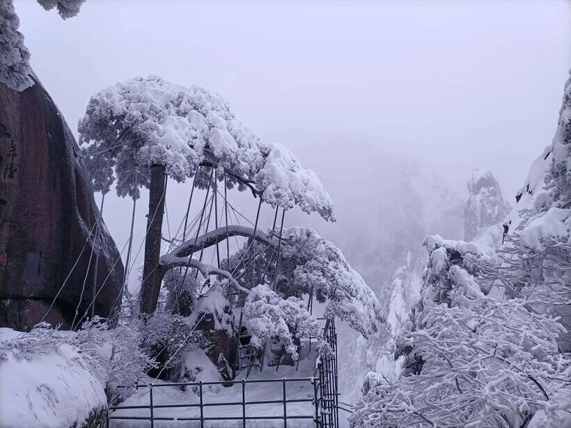 Huangshan: Mountain Top Day Trip with Cable Car and Pickup - What’s Included and What’s Not