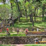 Hue City Tour: Half-Day with Royal Tombs - Starting Point and Logistics