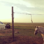 Huhhot Inner Mongolia 3 Days Xilamuren kubuqi Desert Nature Tour - Practical Tips for Your Trip