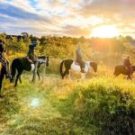 Hunter Valley Sunset Horse Ride - 90 Minutes - The Scenery and Photogenic Moments