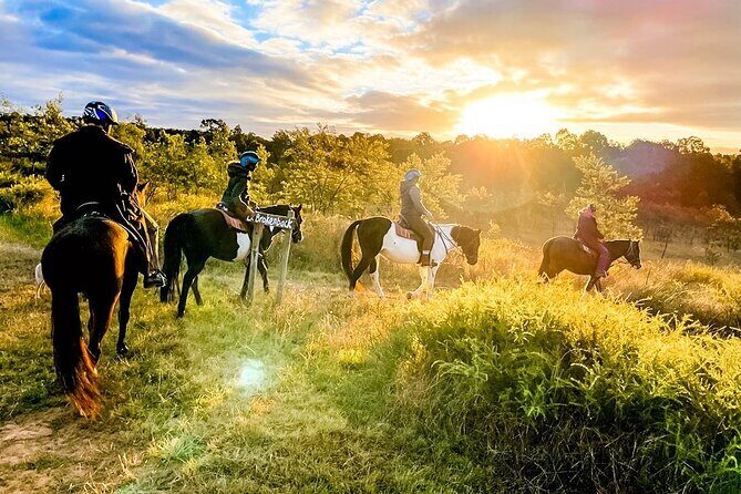 Hunter Valley Sunset Horse Ride - 90 Minutes - The Scenery and Photogenic Moments