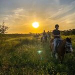 Hunter Valley: Sunset Horse Riding Tour 90min - Who Should Book This Experience?