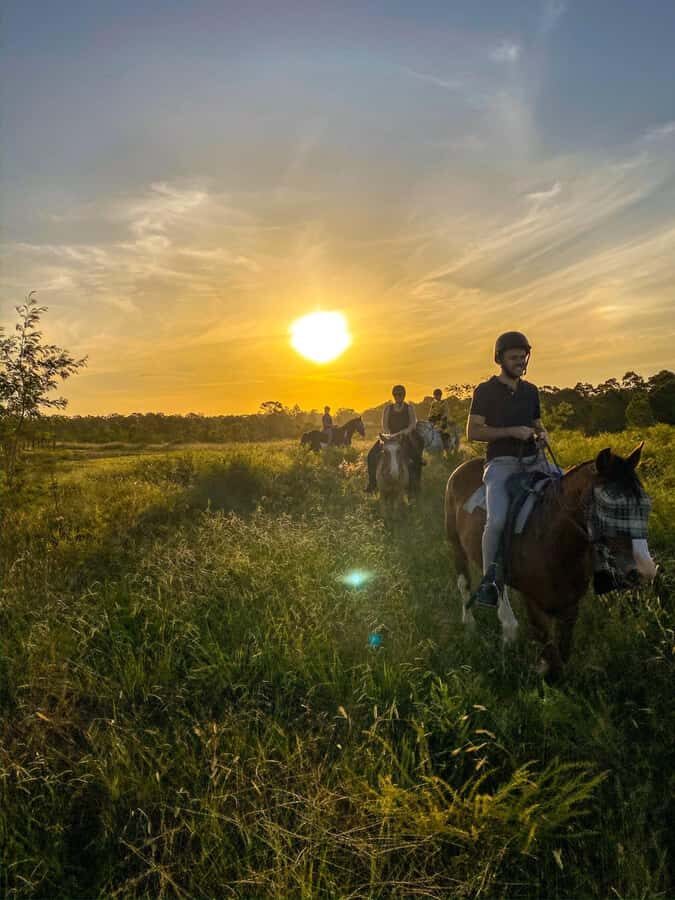 Hunter Valley: Sunset Horse Riding Tour 90min - Who Should Book This Experience?