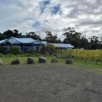 Huon Valley Wine & Cider Tour - Hobart & SE Tasmania - Price & Value Analysis