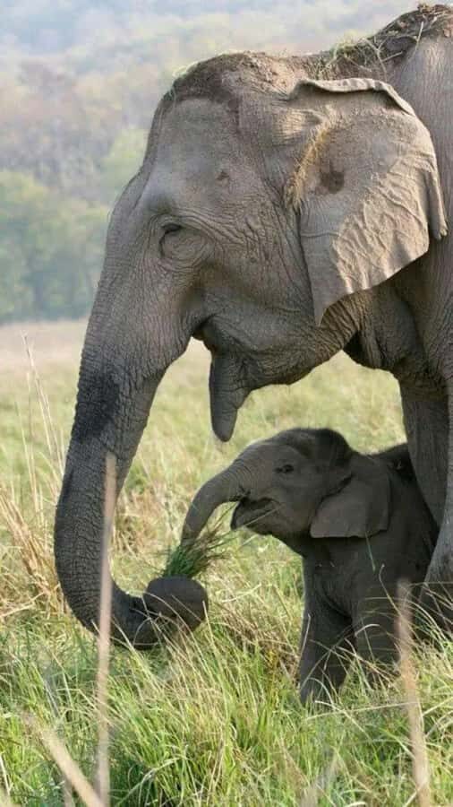 Hurulu Eco Park Jeep Safari & Entrance Ticket Included - Discovering Hurulu Eco Park