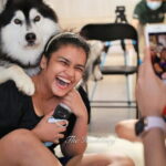 Huskitory Connecting People and Dogs - The Itinerary: What to Expect During Your Visit