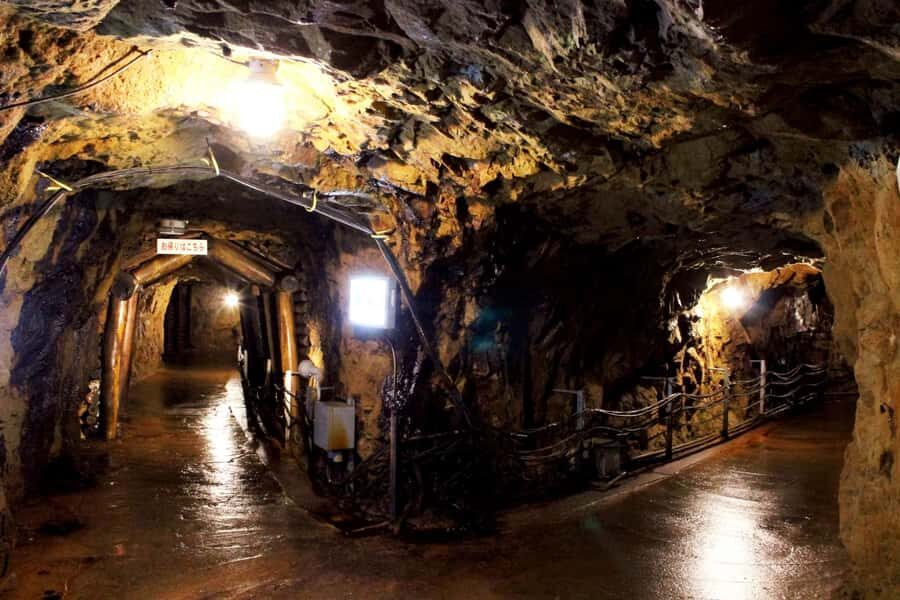 Hyogo: Ikuno Silver Mine Guided Historical Tour - Who Should Consider This Tour?