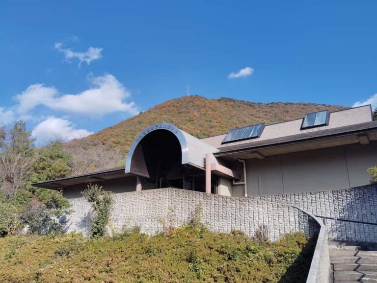 Hyogo: Tamba Pottery Tour of Kilns, Crafts, and Traditions - Who Should Consider This Tour?