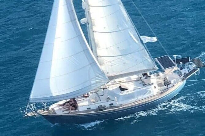 I Like Turtles Private Sailing and Snorkeling from Sapphire - Who Is This Tour Best For?