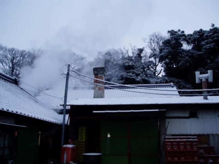 Ibaraki : Tanaka Sake Brewery Tour with Tasting - What to Expect at the Tanaka Sake Brewery Tour