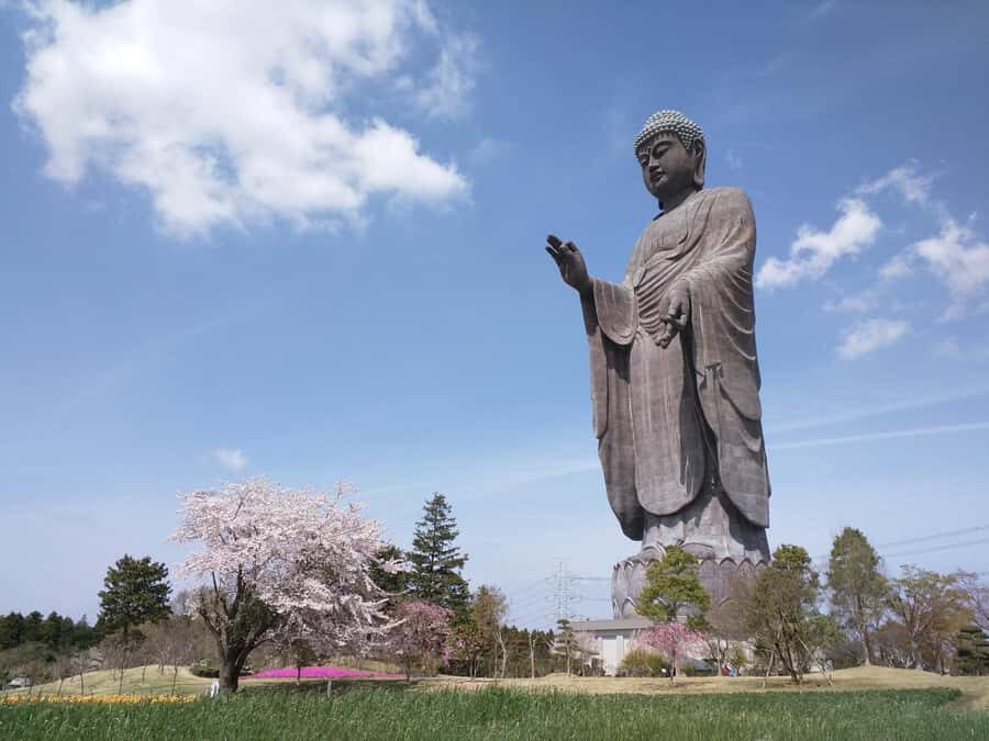 Ibaraki: Ushiku Daibutsu, Worlds Tallest Buddha - Practicalities and Tips for Visitors