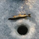 Ice Fishing Festival from Seoul - Practical Tips for Future Travelers