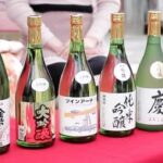 Ichinomiya: Kinginka Shuzo Sake Brewery Tour and Tasting - A Closer Look at the Tour Experience