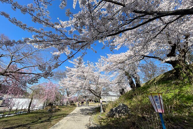 Iiyama Castle Cherry Blossom and Nozawa Onsen Morning Tour - Detailed Review of the Iiyama Castle Cherry Blossom and Nozawa Onsen Morning Tour