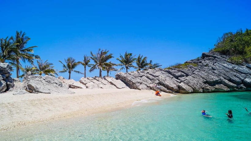 Iloilo City: Gigantes Islands Private Island Hopping Tour - The Basics: What to Expect From the Tour  