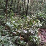 Immerse Yourself In The Natural Beauty of Vermont Nature Trails - Who Should Book This Tour?