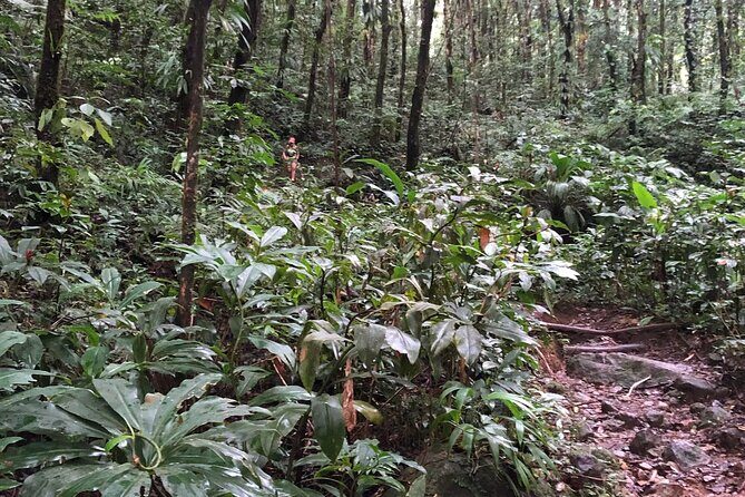 Immerse Yourself In The Natural Beauty of Vermont Nature Trails - Who Should Book This Tour?