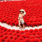 Incense Village, Hat/Lacquer/Pottery/Silk-Group/Private Trip - Practical Details and Tips