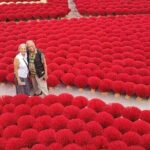 Incense Village & Ninh Binh Discovery Group Tour from Hanoi - Final Thoughts