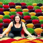 Incense Village Private Tour From Hanoi to Ninh Binh Gateway - Starting with Hanoi’s Old Quarter