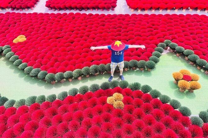 Incense Village Small Group Of 9 Tour to Ninh Binh From Hanoi - What Makes This Tour Stand Out?