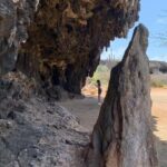 Indian Inscriptions Tour with Local Guide - Discovering the Indian Inscriptions