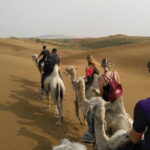 Inner Mongolia Hohhot 1Day Kubuqi Desert (Whistling Dune Bay)Tour - Who Should Consider This Tour?