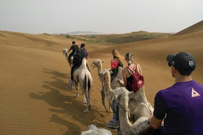 Inner Mongolia Hohhot 1Day Kubuqi Desert (Whistling Dune Bay)Tour - Who Should Consider This Tour?  