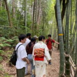 Inside of Fushimi Inari - exploring and lunch with locals - The Itinerary: What You Can Expect