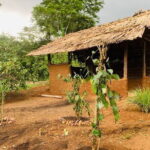 Interactive Cinnamon and Spices Experience at Warala Watta Farm - The Cinnamon Experience: From Bark to Spice