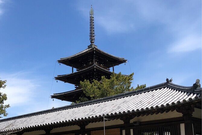 Intercity Transfer Kyoto to Osaka with Nara Sightseeing by Car - Who Will Love This Tour?