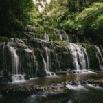 Invercargill to Dunedin via the Catlins Small Group 1 Way Tour - Practical Considerations