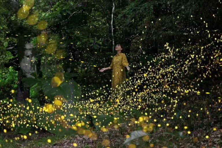 Iriomote Island Limited Time Yaeyama Firefly Viewing Tour - Authentic Experience and Why It’s Special