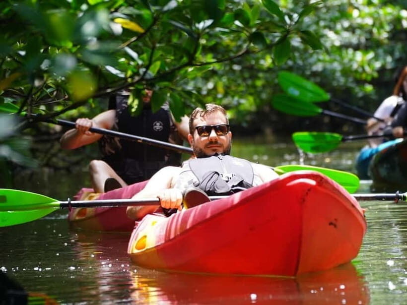 Iriomote: Mangrove SUP or Canoe and Yubujima sightseeing - What’s Included and What to Expect
