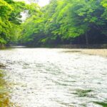 Ise: Express Tour of Japans Most Sacred Shrine - Who Is This Tour Best For?