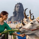 Isha Yoga Center from Coimbatore - Day Trip with Lunch - Good To Know