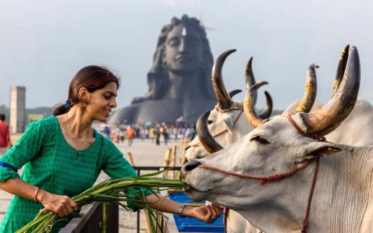 Isha Yoga Center from Coimbatore - Day Trip with Lunch - Good To Know