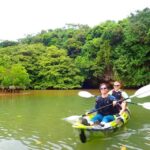 Ishigaki Island: 2-Hour Miyara River SUP or Canoeing Tour - Good To Know