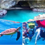 Ishigaki Island: Blue Cave Exploration & Snorkeling Tour - How the Tour Starts and Transportation