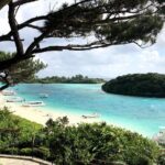 Ishigaki Island Highlights Tour - Dive into the Stops: In-Depth Look