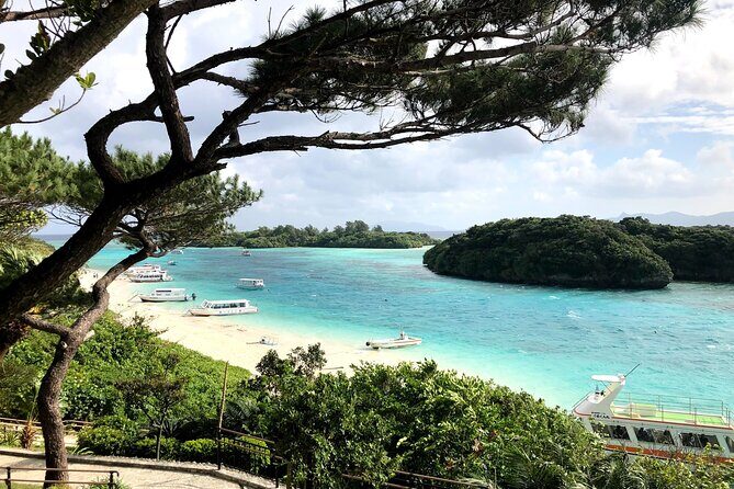 Ishigaki Island Highlights Tour - Dive into the Stops: In-Depth Look